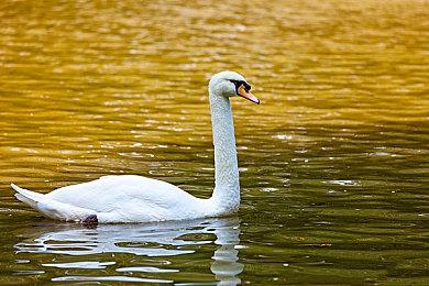 感受热带微风，免费多人沙盒游戏《宝藏世界》灿烂夏日活动回归